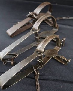 lot 41 image: 3 LONG SPRING TRAPS