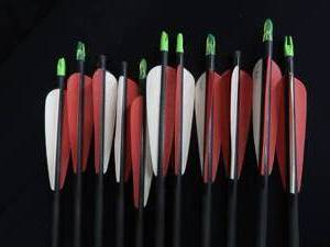 lot 104 image: ARROWS