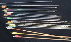 lot 107 image: ARROWS