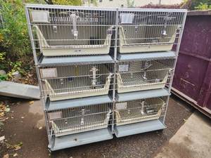 Animal Cages (#1)