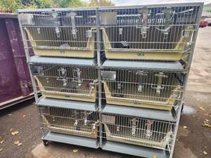 Animal Cages (#2)