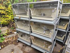 Animal Cages (#3)