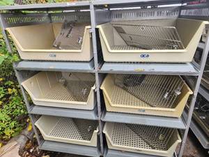 Animal Cages (#4)