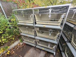 lot 1F image: Animal Cages (#6)