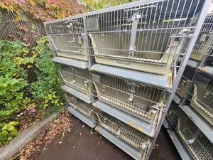 lot 1H image: Animal Cages (#8)