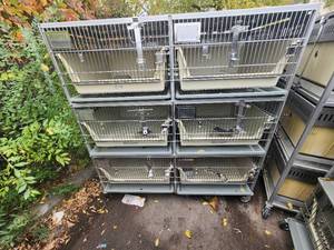 lot 1I image: Animal Cages (#9)