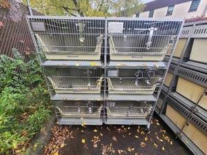 lot 1J image: Animal Cages (#10)