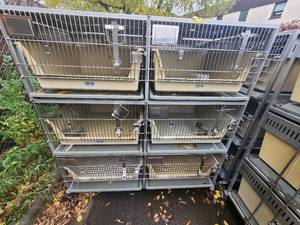 lot 1K image: Animal Cages (#11)