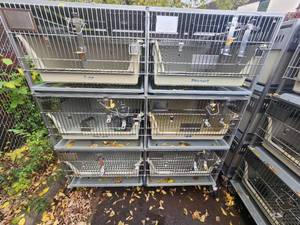 lot 5B image: Animal Cages (#13)