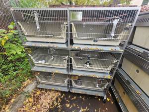 lot 5C image: Animal Cages (#14)