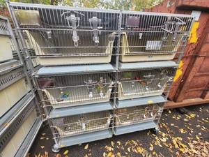 lot 5D image: Animal Cages (#15)