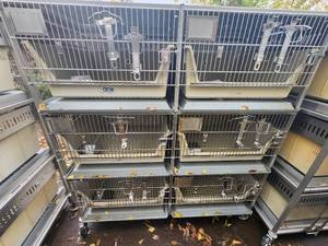 lot 5E image: Animal Cages (#16)