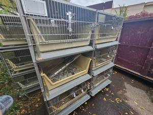 lot 5F image: Animal Cages (#17)