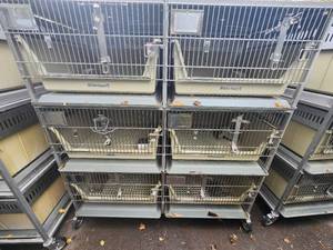lot 5G image: Animal Cages (#18)