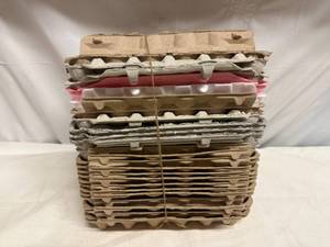 lot 31 image: 25 Egg Cartons