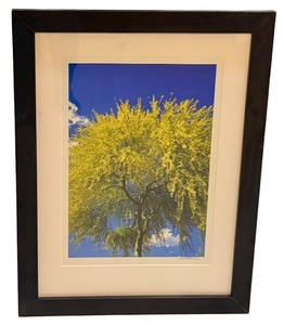 lot 87AA image: LLSTR- Framed Artisan Photographic Print by David Matthew