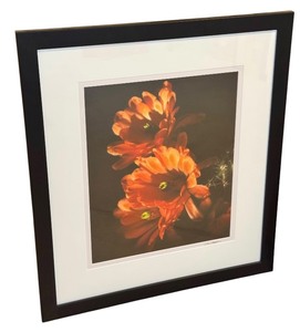 lot 89AA image: LLSTR- Framed Photographic Print by David Matthew, Vibrant Floral