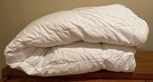 lot 144 image: LLBR - The Company Store King Size White Down Comforter