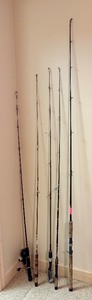 lot 178 image: LLO - Collection of 5 Fishing Rods Including Daiwa, Shakespeare Ugly Stik, Pflueger, and Garcia Conolon
