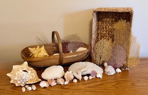 lot 192 image: LL - Seashells, Coral, and Sea Fan Collection with Two Woven Baskets