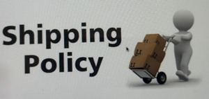 lot 10XX image: Shipping Information