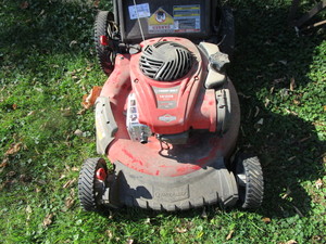 lot 142 image: Troybilt Trim Mower