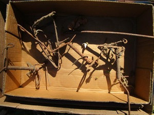 lot 148 image: Gopher Traps