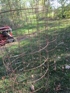 lot 165 image: Tomato Cages, 5ft