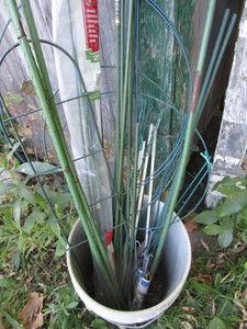 lot 168 image: Garden Plant stakes & Supports