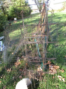 lot 180 image: Tomato Cages, Plant Covers