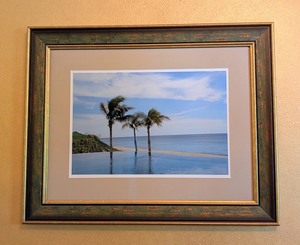 lot 190A image: ML - Framed Coastal Palm Photograph