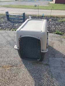 lot 55 image: Large Great Choice Pet Carrier