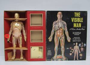 lot 47 image: Vintage RENWAL Visible Man wOriginal Box