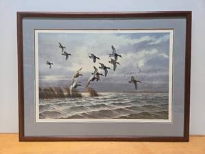 lot 209 image: Framed Signed Numbered DAVID MAASS Wildlife Print wDucks - Windswept Canvasbacks
