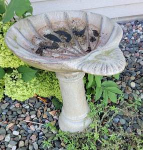 lot 112 image: Elegant Scallop Shell Concrete Birdbath
