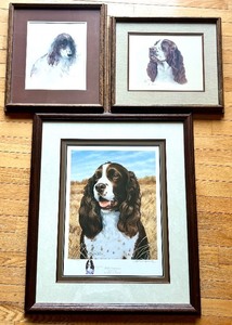 lot 41 image: Set of 3 Framed Springer Spaniel Art Prints by Hamrick and Dvorin