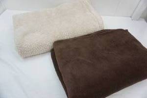 lot 42 image: (2ct) Twin Size Plush Blankets