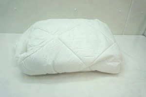 lot 110 image: Twin Mattress Pad -very good condition