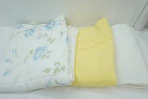lot 389 image: 2 Blankets & 1 Mattress Pad