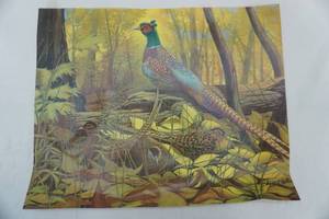 lot 627 image: 20x 16 Vintage Pheasant Print Poster by August Holland