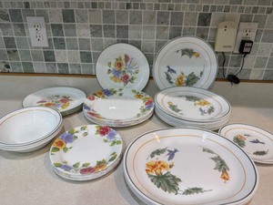 lot 46A image: Corelle Dishes--Two Designs