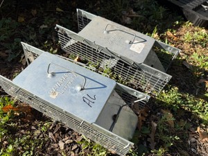 lot 81 image: Two Animal Traps