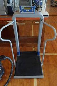 lot 417 image: Doran Digital Scale - 1000 Lb Capacity