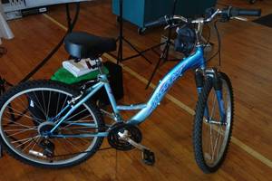 lot 418 image: Huffy 7-Speed Bike