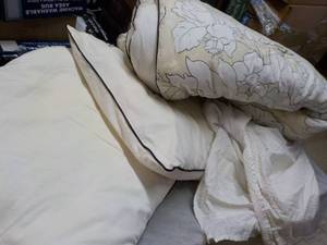 lot 51 image: Full Size Comforter, Bed Skirt, and...
