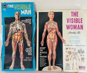 lot 170C image: BD - Revell Visible Man & Woman Human Anatomy Model Kits with Manuals