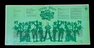 lot 80P image: RB - Ultimate Spinach Vintage Vinyl Record Album