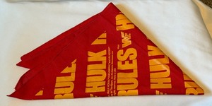 lot 34B image: Holk Hogan Vintage 1988 Titan Sports WWF Wrestling Bandana