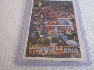 lot 140 image: 1990 Classic Hulk Hogan Wrestle Man...
