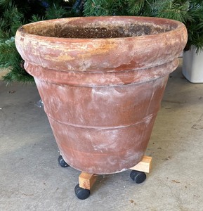 lot 227R image: G - Outdoor Terra Cotta Planter Pot with Rolling Stand